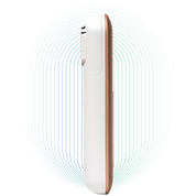 4-WAY BEAUTY DEVICE(4 Heads)